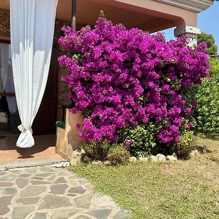 Mattias San Teodoro (Sardinia)
